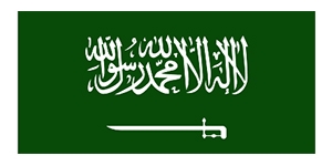 saudi.jpg - Naši partneri